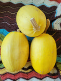 Winter Squash, Spaghetti Squash