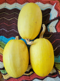 Winter Squash, Spaghetti Squash
