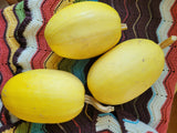 Winter Squash, Spaghetti Squash