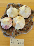 Garlic, Red Toch (Pre-order, ships late August 2025)