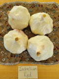 Garlic, Inchelium Red (Pre-order, ships late August 2026)