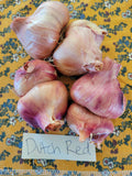 Shallots, Dutch Red (Pre-order, ships late August 2026)
