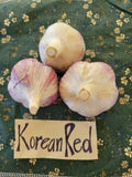 Garlic, Korean Red (Pre-order, ships late August 2026)