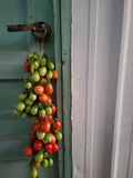 Tomato, Principe Borghese