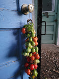 Tomato, Principe Borghese