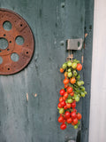 Tomato, Principe Borghese