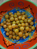 Ground Cherry, Pineapple