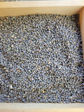 Cowpea, Charcoal Grey