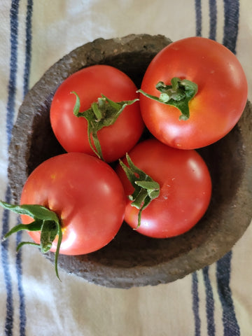 Tomato, Glacier