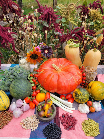 Winter Squash, Rouge Vif D'Etampes