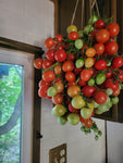 Tomato, Bombeta Ramallet