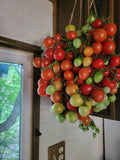 Tomato, Bombeta Ramallet