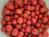 Tomato, Grappoli d'Inverno Ramallet