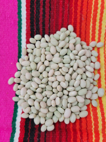 Tepary Bean, Sonoran White