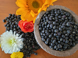 Cowpea, Peking Black