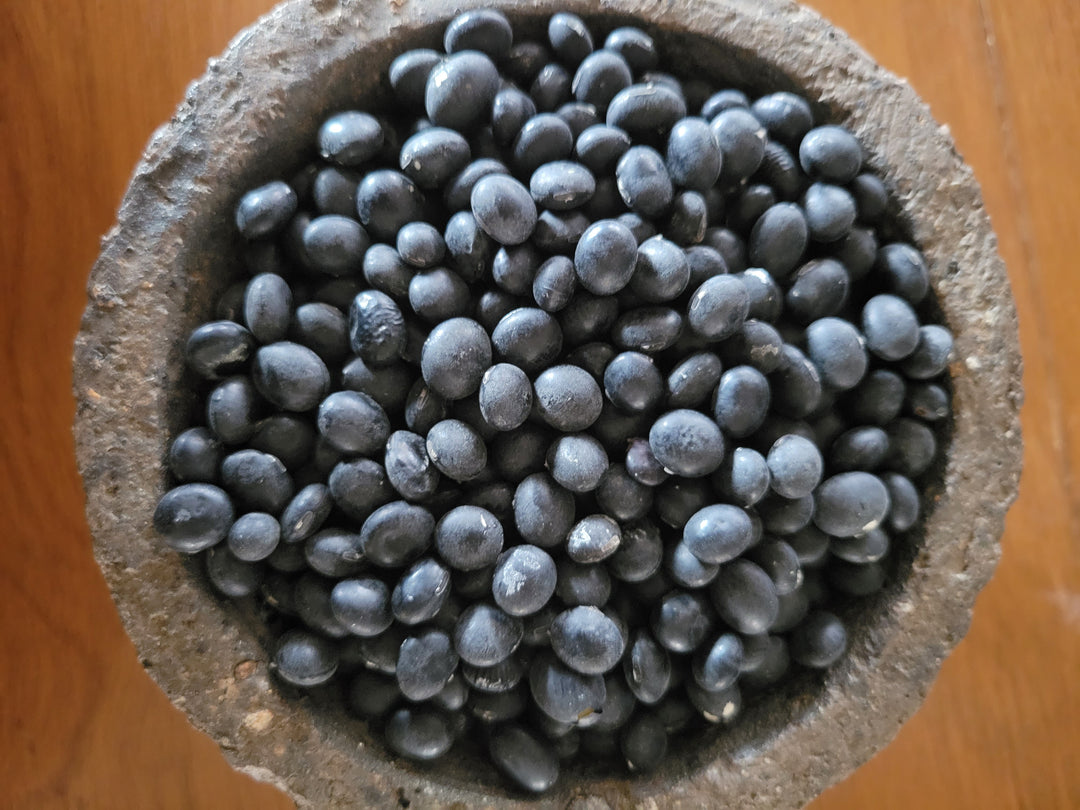 Soybean – Giving Ground Seeds