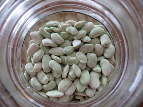 Lima Bean, 45 Day