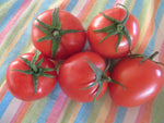 Some Like it Hot:  Heat-tolerant Tomato Package