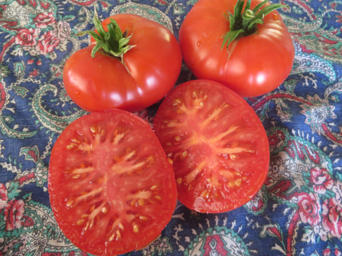 Tomato, Hazelfield Farm Red
