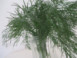 Dill, Greensleeves