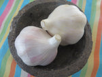 Culinary Garlic Sampler