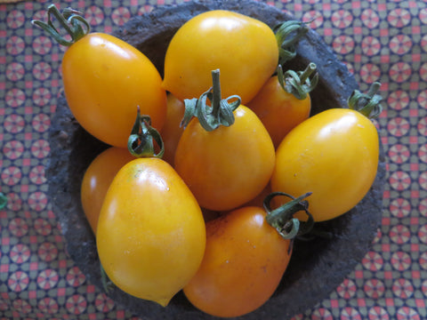 Tomato, Vesuviano Giallo Ramallet