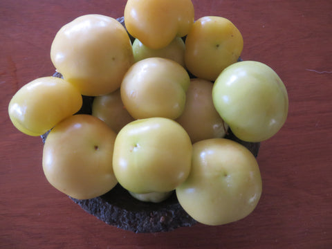 Tomatillo, Rendidora