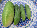 Cucumber, Hokus Pickling