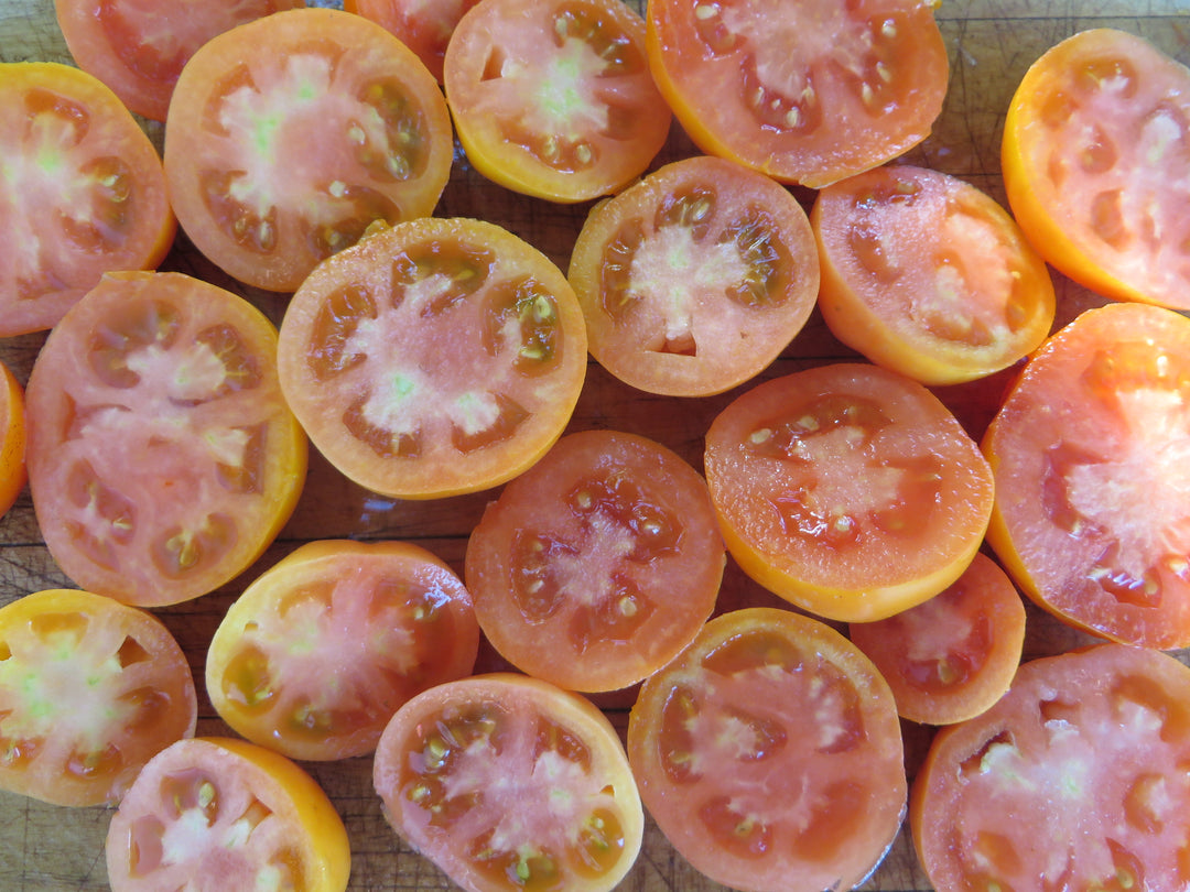 Orange and Yellow Tomatoes – Giving Ground Seeds