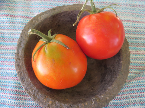 Tomato, Siberian