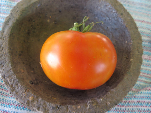 Tomato, Ponderosa