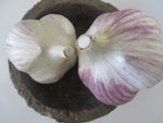 Garlic, Korean Red (Pre-order, ships late August 2024)