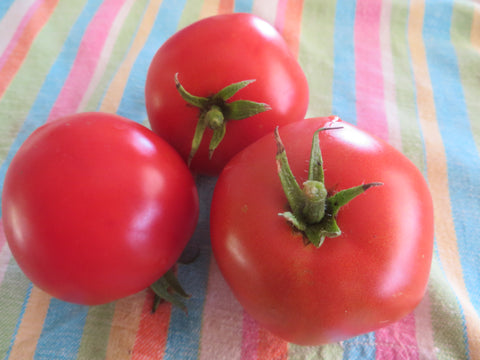 Tomato, Moskovich