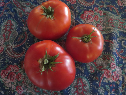 Tomato, Nepal