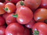 Tomato, Ozark Pink
