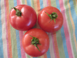 Tomato, Ozark Pink