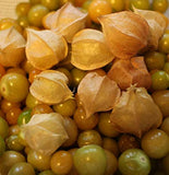 Ground Cherry, Pineapple