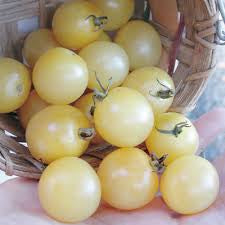 Tomato, White Cherry