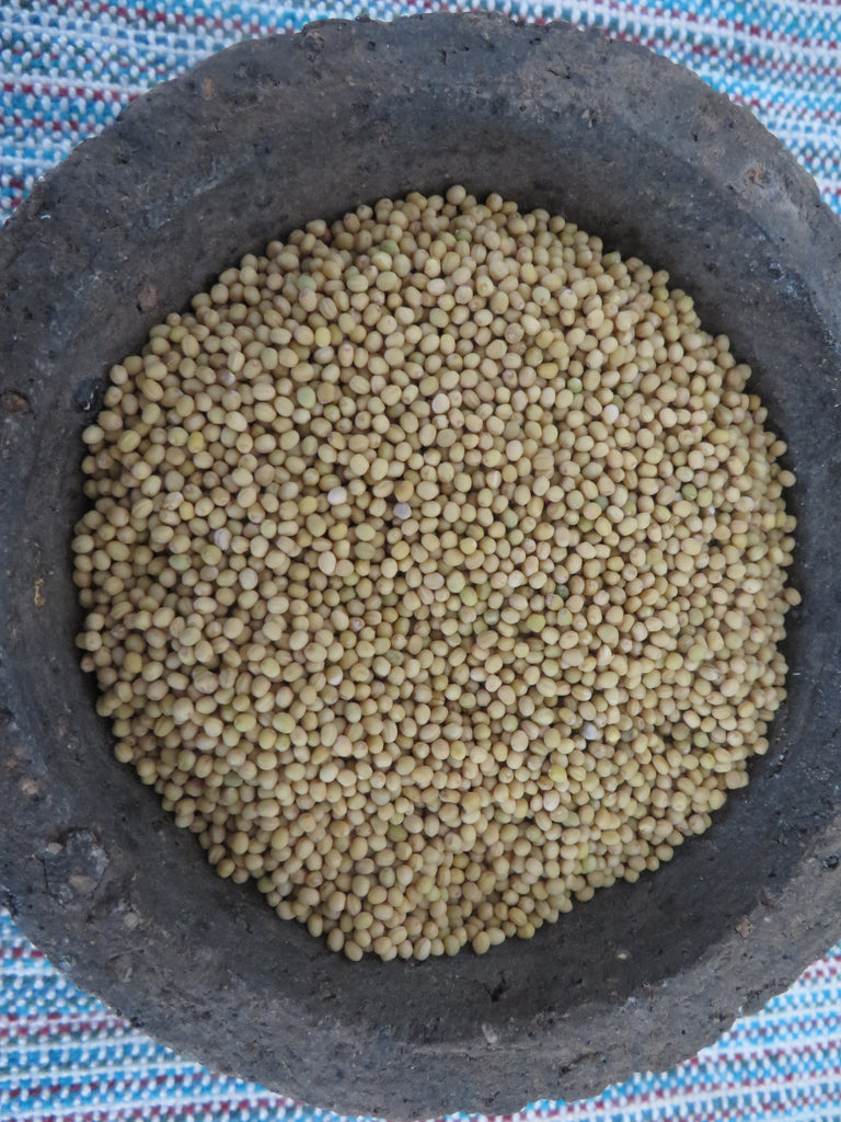 white mustard seeds for planting Mustard, White