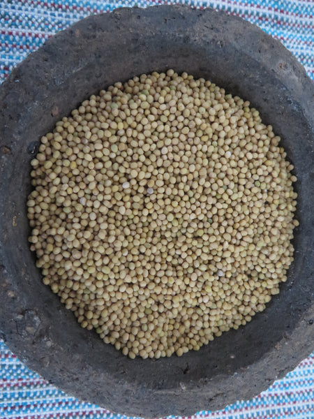 Mustard, White – Giving Ground Seeds